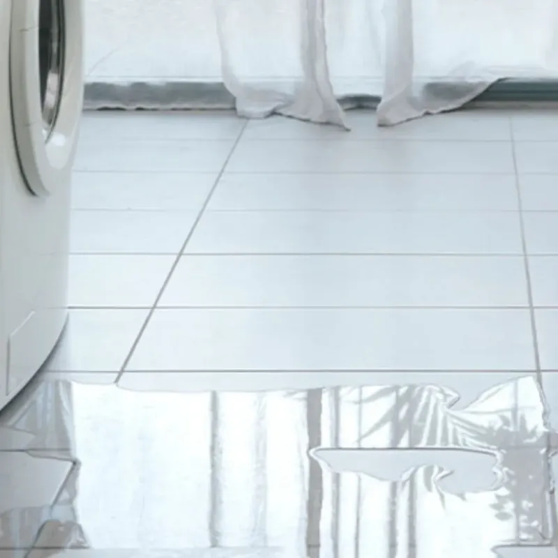 Appliance Leak Cleanup in Coffee County, TN