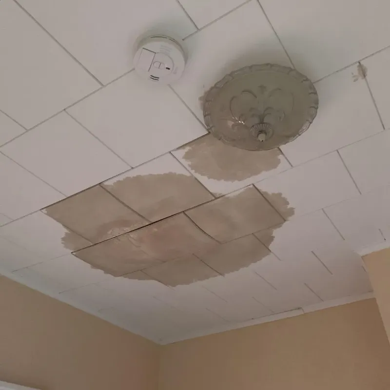 Ceiling Water Damage Repair in Coffee County, TN