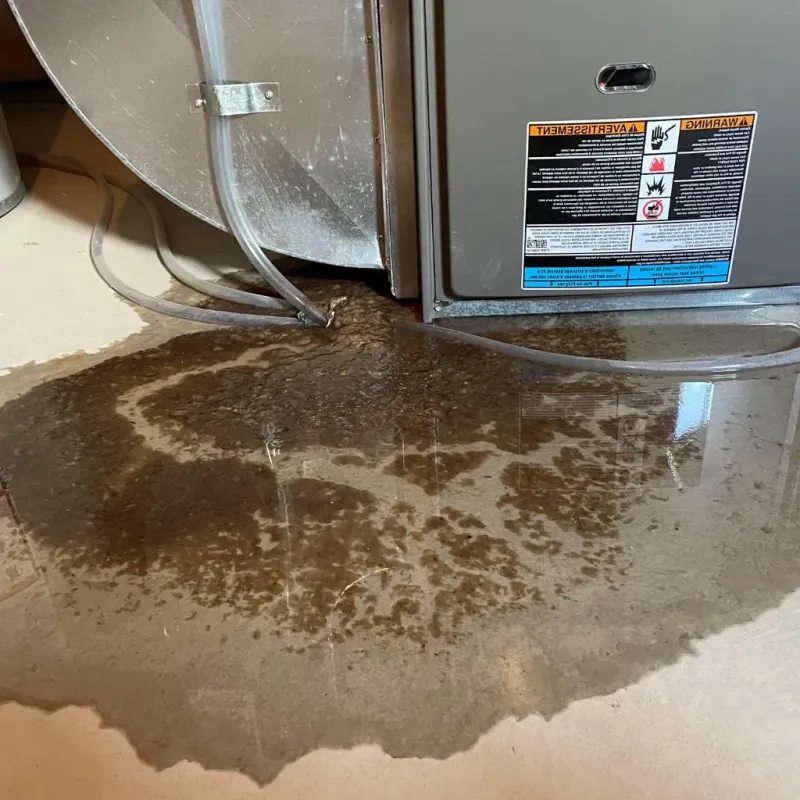 Pipe Burst and Leak Restoration in Coffee County, TN