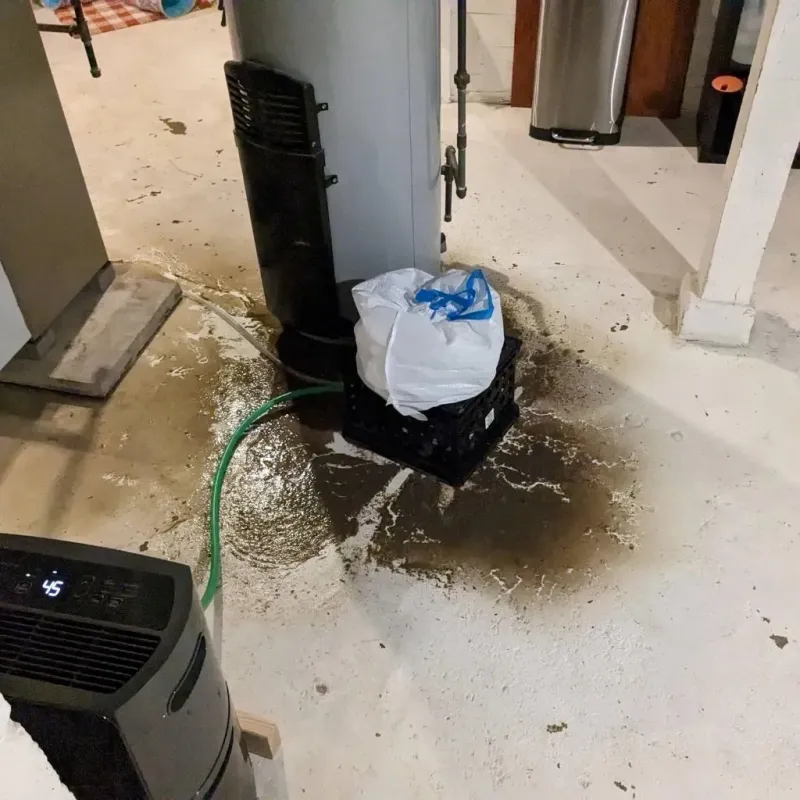 Sewage Backup Cleanup Service in Coffee County, TN